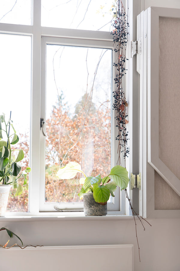 Parliament Hinges SS (pair)