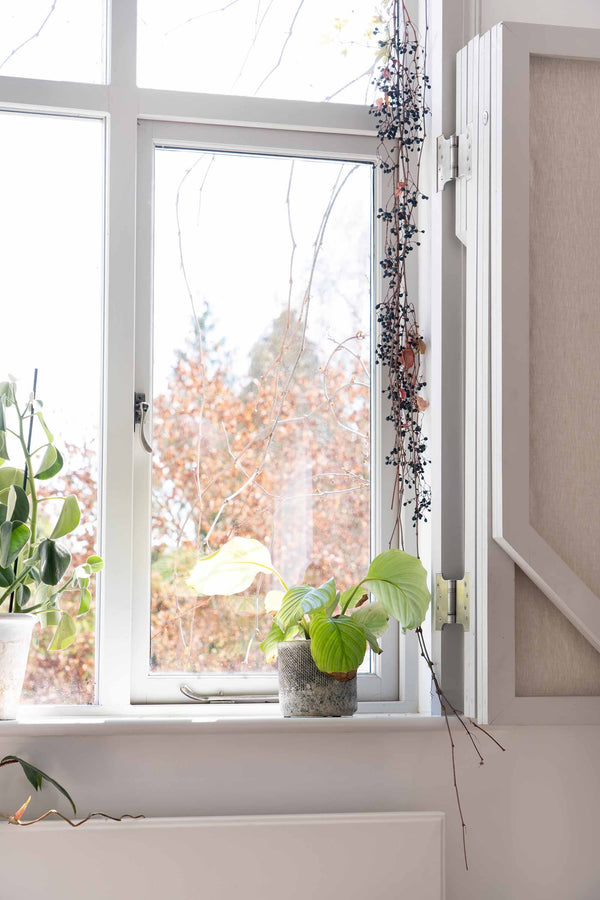 Parliament Hinges SS (pair)