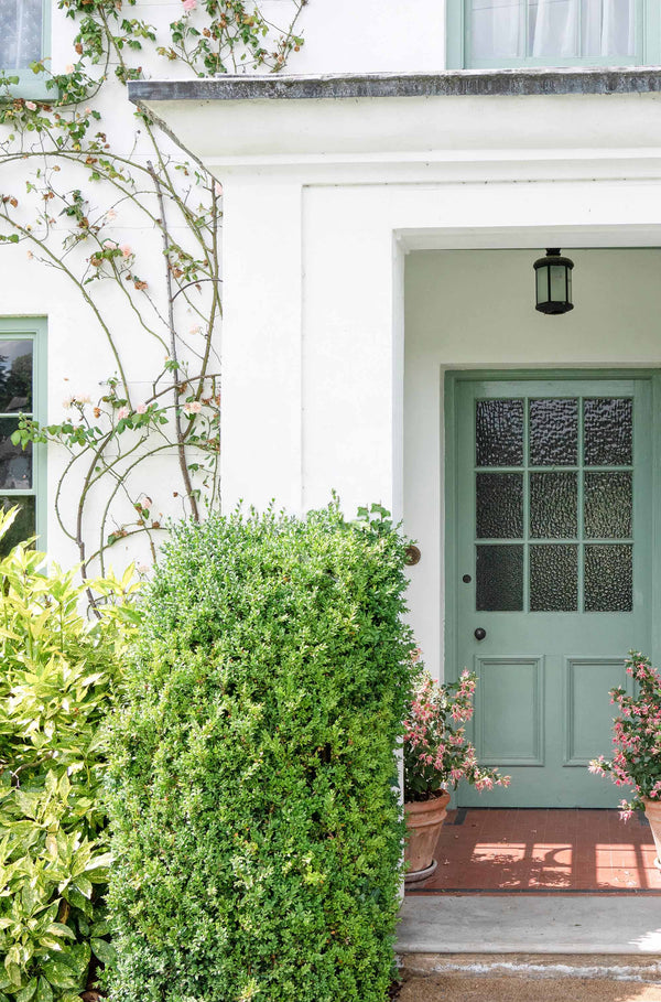 Oval Mortice/Rim Knob Set