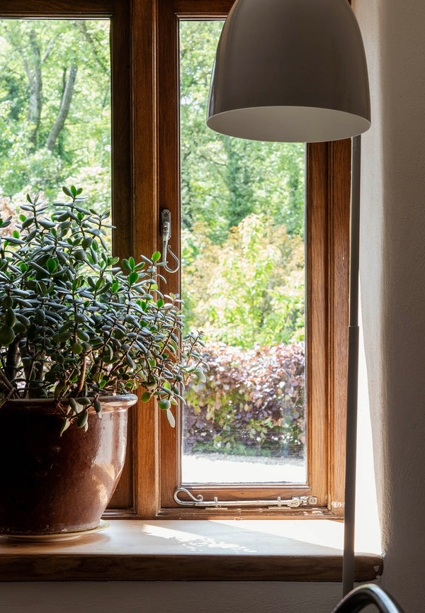 Shepherds Crook Espag