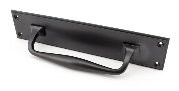 Art Deco Pull Handle on Backplate