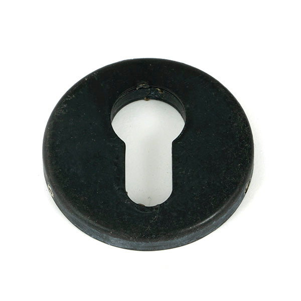 External Beeswax 52mm Regency Concealed Escutcheon