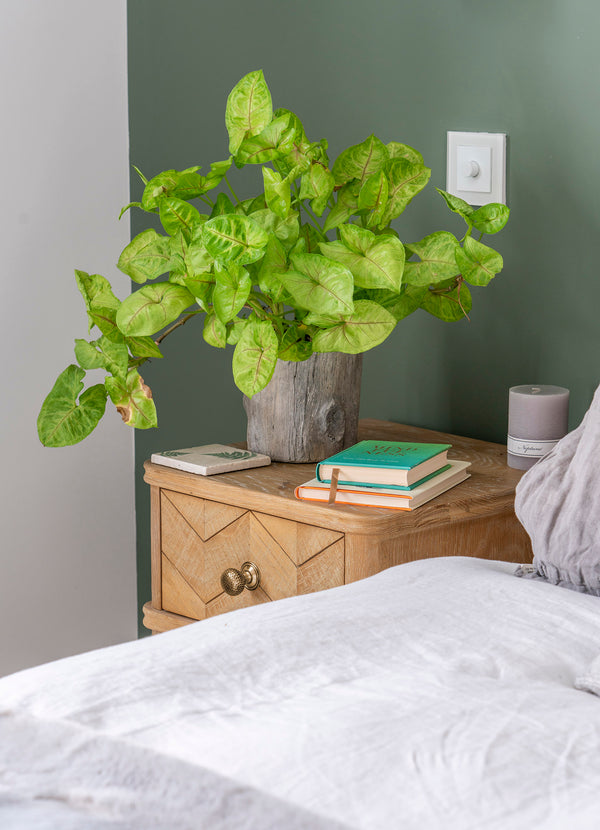 Hammered Mushroom Cabinet Knob