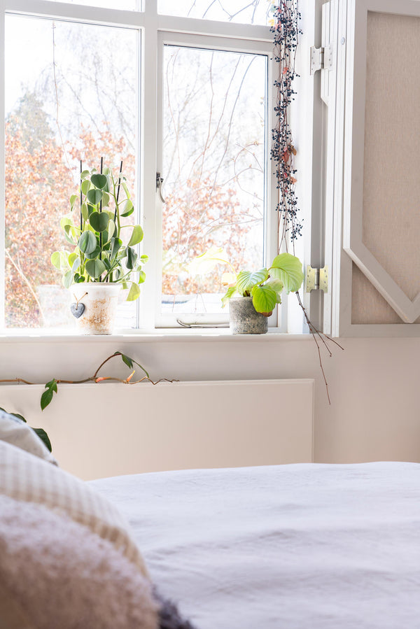 Parliament Hinges SS (pair)