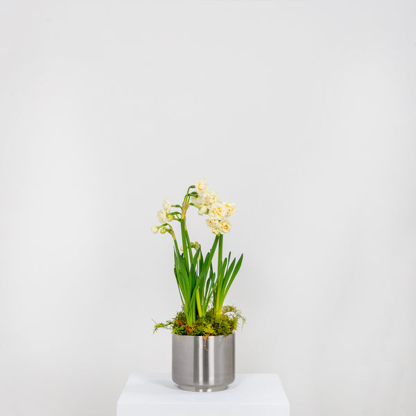 From The Anvil's Satin Marine SS (316) Newlyn Pot