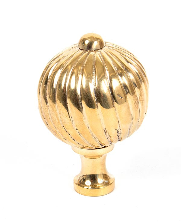 Polished Brass Spiral Cabinet Knob - Large