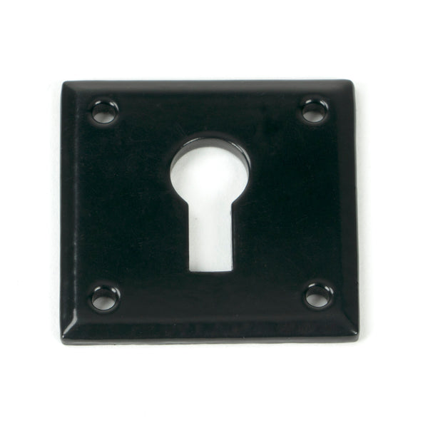 From The Anvil's Black Avon Escutcheon