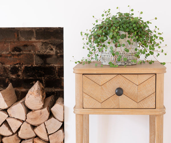 Mushroom Cabinet Knob