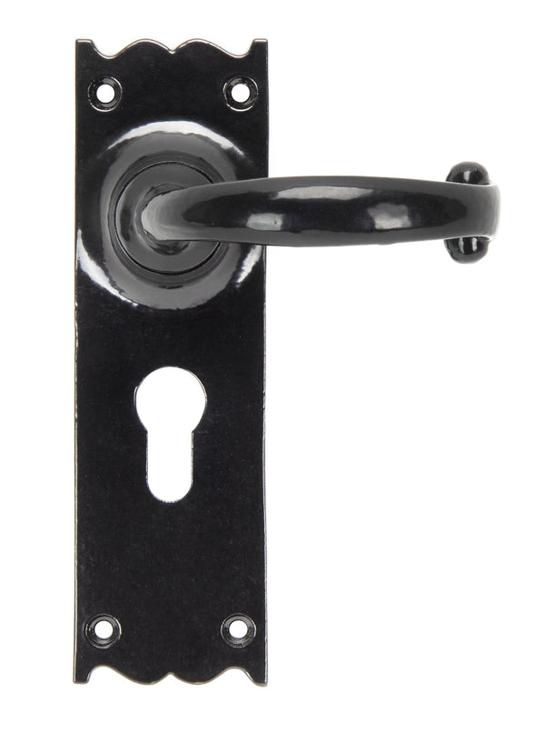 Cottage Lever Euro Lock Set by From The Anvil