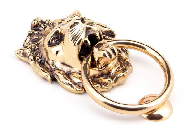Lion Head Door Knocker