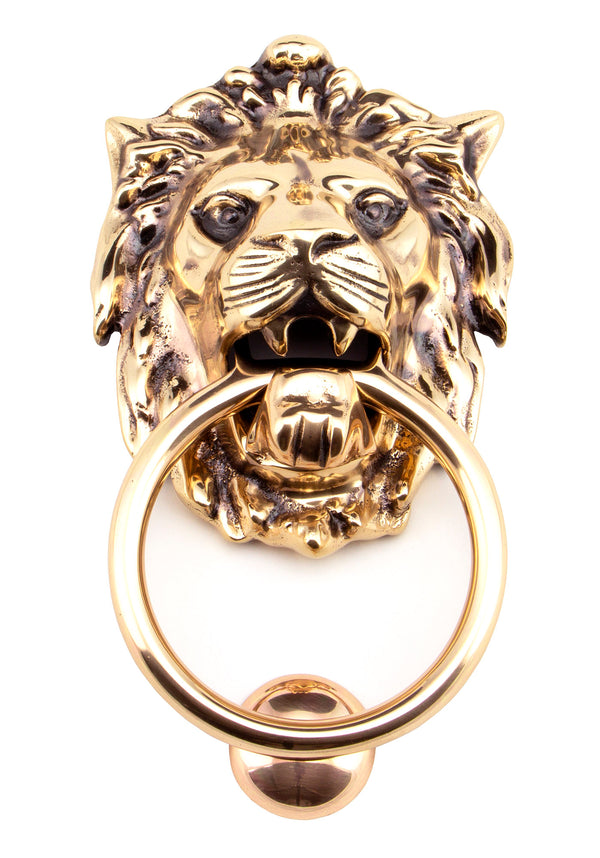 From The Anvil's Polished Bronze Lion Head Door Knocker
