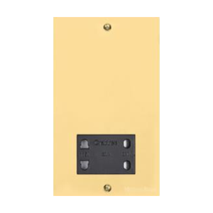 Bauhaus Range Polished Brass Switches & Sockets, BH1 - Shaver Socket Output Voltage 110/240V by Heritage Brass By M-Marcus