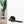 CleanTouch Anti-Bac Forme Milly Lever Door Handle on Minimal Round Rose - additional image