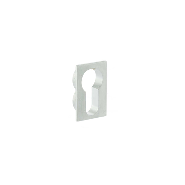 Forme Concealed Rose Euro Escutcheons Square by Atlantic Hardware