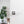 Forme Olimpia Lever Door Handle on Minimal Square Rose - additional image