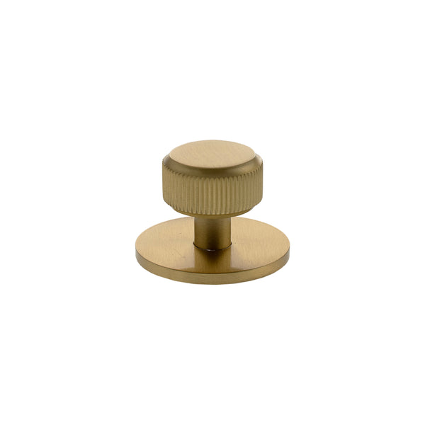Millhouse Brass Battersea Linear Round Cabinet Knob Handle on Backplate by Atlantic Hardware