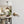 STATUS Texas Lever Door Handle on Round Rose - additional image