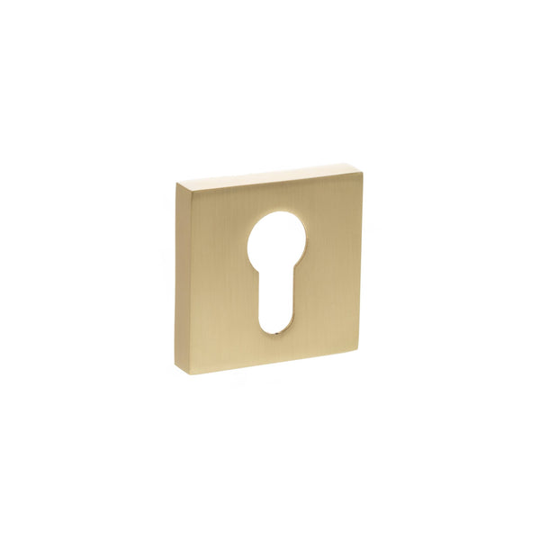 Status Euro Escutcheons on S4 Square Rose by Atlantic Hardware