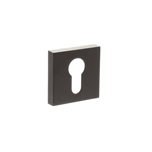 Status Euro Escutcheons on S4 Square Rose by Atlantic Hardware