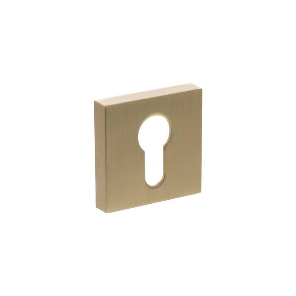 Senza Pari Euro Escutcheons on Minimal Square Rose by Atlantic Hardware