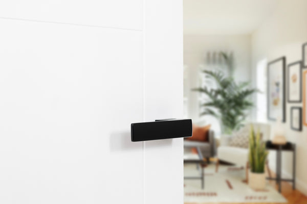 Tupai Rapido RetaLine Cartelle Lever Door Handle on Long Rose - (Without Decorative Plate) - additional image