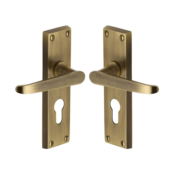 Victoria Door Handle on Plate