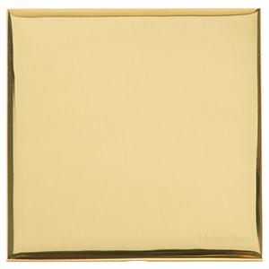 Winchester Range - Polished Brass - Single Blank Plate