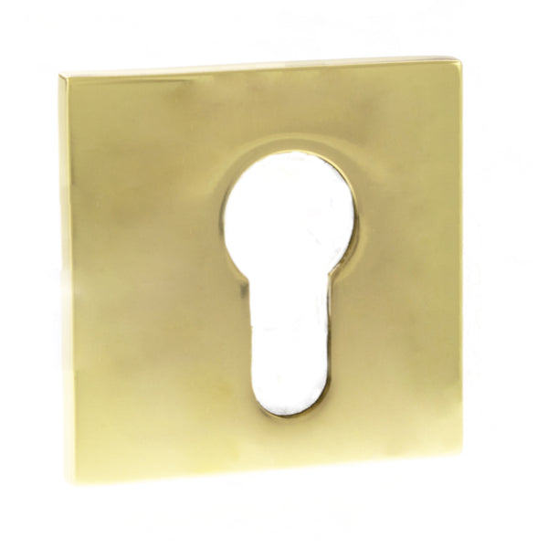 Tupai Exclusivo 5S Line Euro Escutcheons on 5mm Slimline Square Rose by Atlantic Hardware