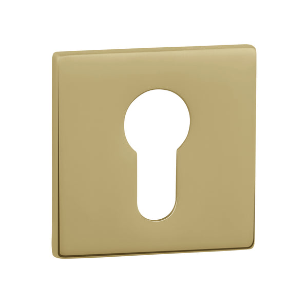 Tupai Exclusivo 5S Line Euro Escutcheons on 5mm Slimline Square Rose by Atlantic Hardware