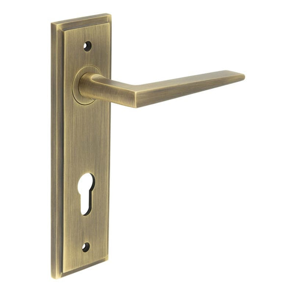 Burlington Mayfair Door Handles Din Euro Backplate