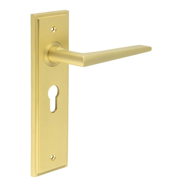 Burlington Mayfair Door Handles Euro Backplate