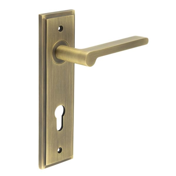 Burlington Fitzrovia Door Handles Din Euro Backplate