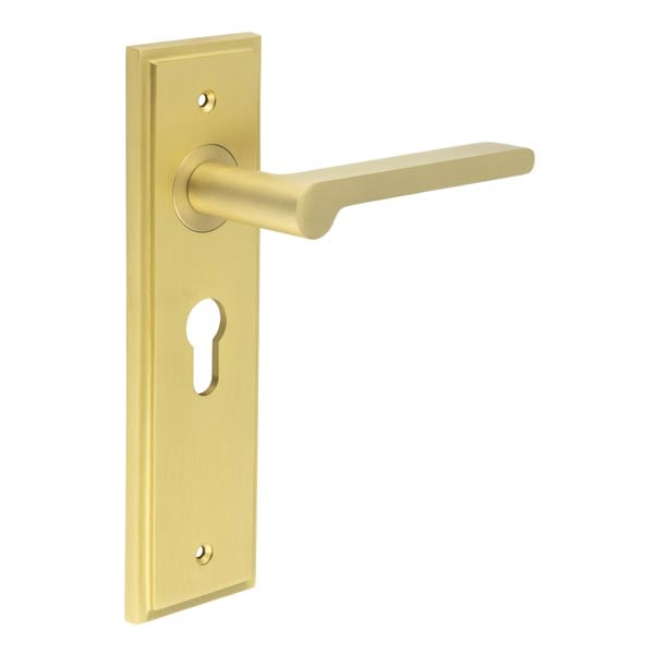 Burlington Fitzrovia Door Handle Euro Backplate