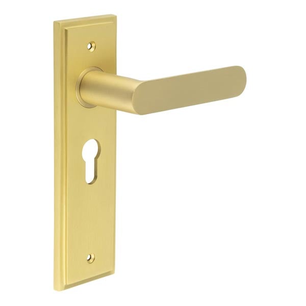 Burlington Kensington Door Handle Euro Backplate