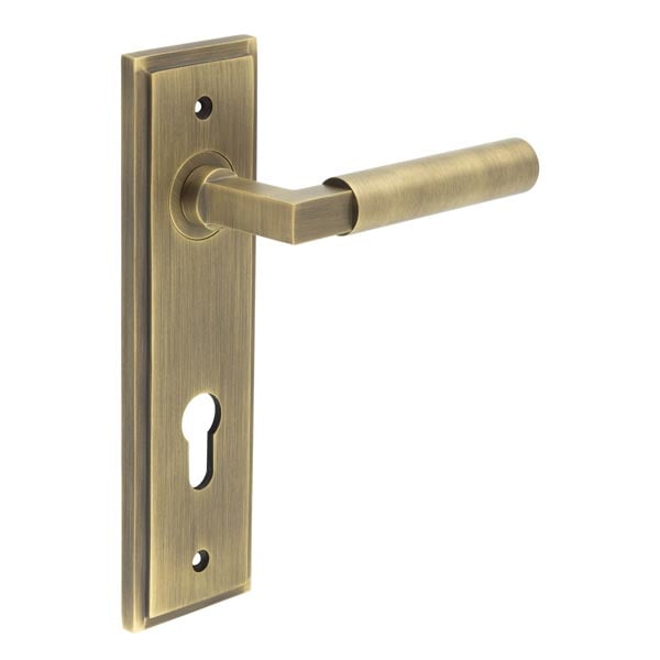 Burlington Westminster Door Handles Din Euro Backplate