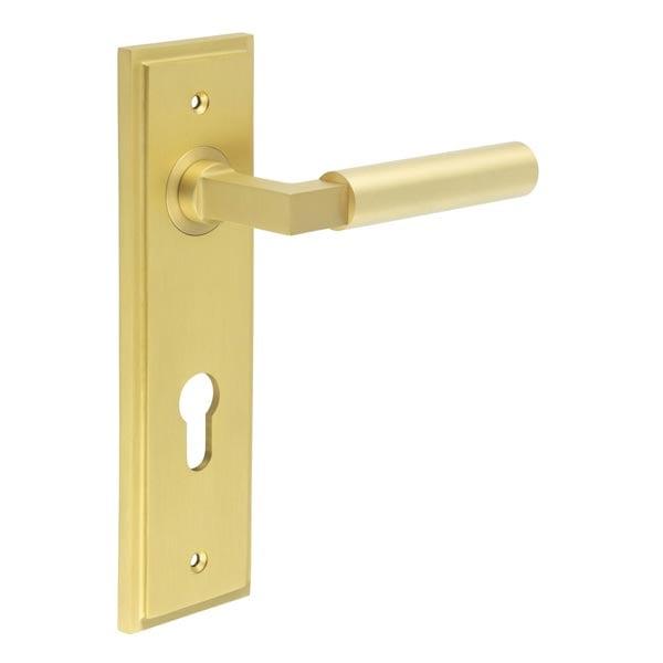 Burlington Westminster Door Handle Din Euro Backplate