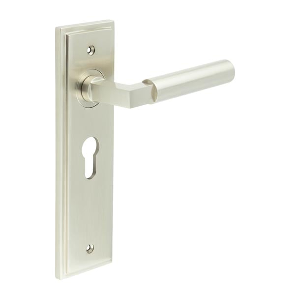 Burlington Westminster Door Handle Euro Backplate