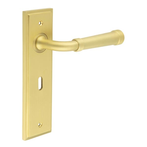 Burlington Highgate Door Handle Lock Backplate