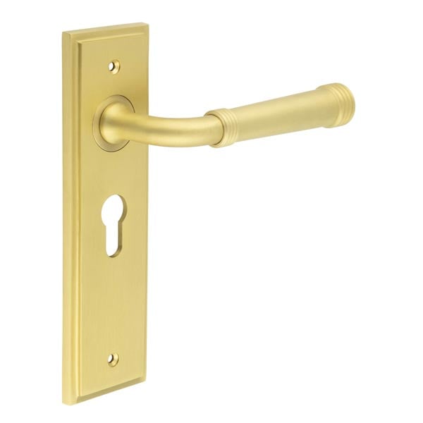 Burlington Highgate Door Handle Euro Backplate