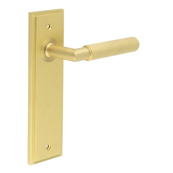 Burlington Piccadilly Door Handle Latch Backplate