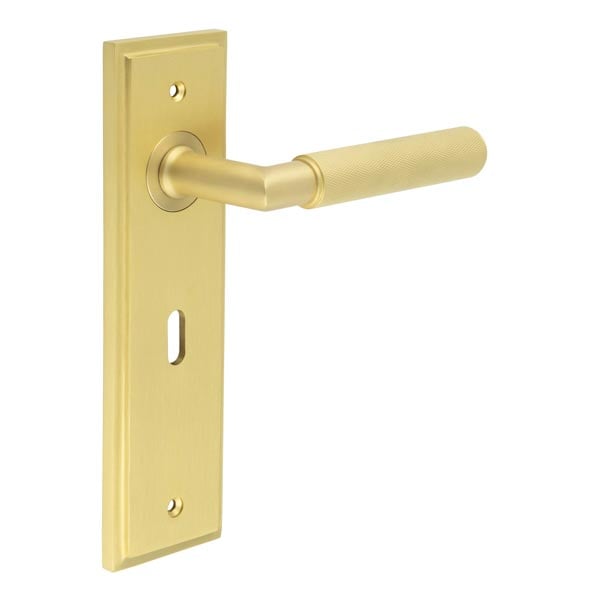 Burlington Piccadilly Door Handles Lock Backplate