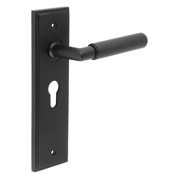 Burlington Piccadilly Door Handles Euro Backplate