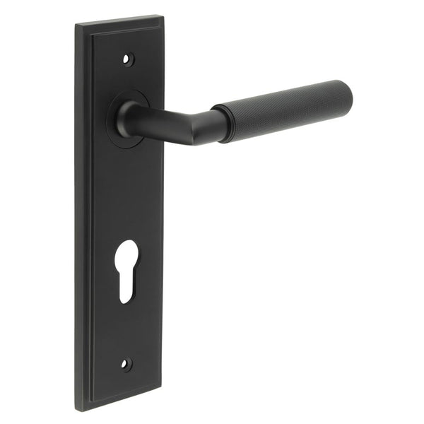 Burlington Piccadilly Door Handles Din Euro Backplate