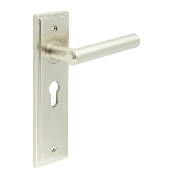 Burlington Richmond Door Handle Euro Backplate by Burlington By Frelan