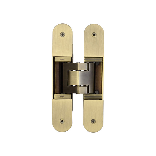 Ghost 3D 160mm Concealed Hinge Antique Brass