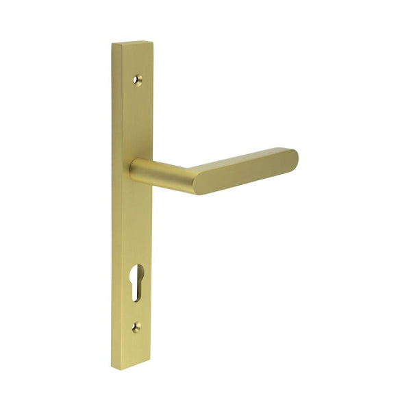 CRES-101 Multi Point Backplate Door Handle by Cres By Frelan