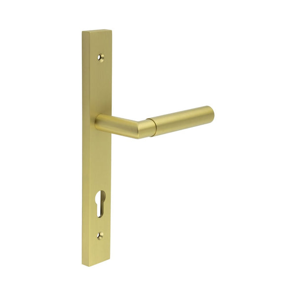 CRES-102 Multi Point Backplate Door Handle by Cres By Frelan