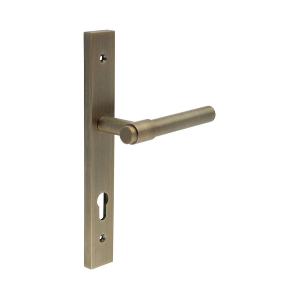 CRES-103 Multi Point Backplate Door Handle