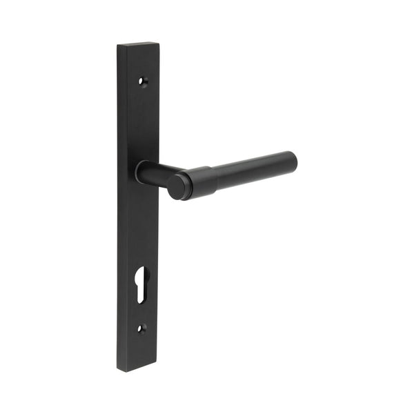CRES-103 Multi Point Backplate Door Handle