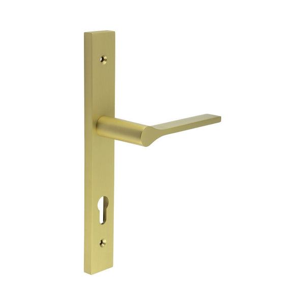 CRES-105 Multi Point Backplate Door Handle by Cres By Frelan